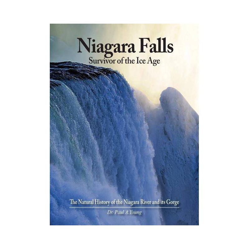 Niagara Falls - by  Paul a Young (Hardcover), 1 of 2