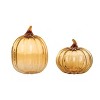 Transpac Glass 10.25 in. Orange Harvest Pumpkins Set of 2 - 2 of 4