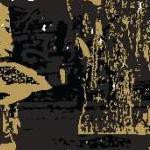 clear push pins bundle