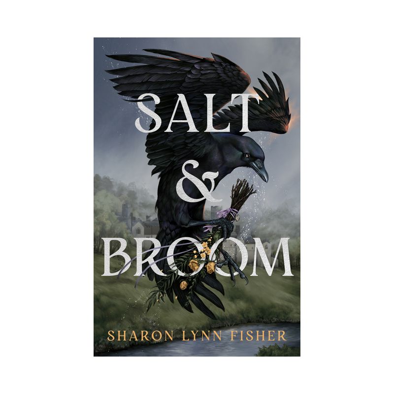 Salt & Broom - by  Sharon Lynn Fisher (Paperback), 1 of 2