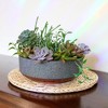 The HC Companies 8 Inch Round Capri Bowl Decorative Indoor Flower Succulent Planter Pot with Drain Plug Hole, Faux Concrete with Copper Base (5 Pack) - image 3 of 4