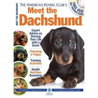 dachshund american kennel club