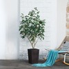 DR.Planzen 72" Artificial Ficus Tree - 6FT UV Resistant Fake Plant with Silk Leaves & 15.7" Planter for Indoor House Plants, Floor & Tall Faux Trees - 4 of 4