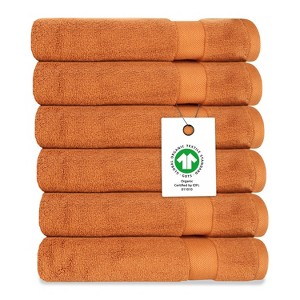 Delara 100% Organic Cotton Soft, Quick Dry & Ultra-Absorbent Wash Cloth (Pack of 6) - 1 of 4