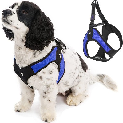 Gooby Escape Free Easy Fit Harness Blue, Small