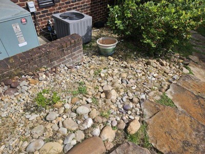 Guest review image 4 of 5, zoom in