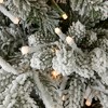 Christmas Dandan Flocked Pine Garland - 2 of 4