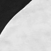 white/black