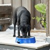 Farm Innovators Signature Series 3QT Heated Pet Bowl with Stainless Steel Insert - 4 of 4