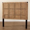 bali & pari Alise Seagrass and Mahogany Wood Headboard - 3 of 4