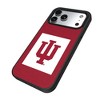 NCAA Big Ten Universities Solid Bump Cell Phone Case for Apple iPhone 17 Series - 2 of 4