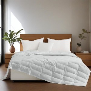 Puredown Lightweight Cooling Lyocell White Down Blanket, Tencel Comforter for Summer - 1 of 4