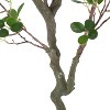 Gulches 71 Inch Artificial Milan Leaf Bonsai elm Tree Plants, Pre Potted Plant, Ideal for Indoor Gardens, Living Rooms and Bedrooms - 3 of 4