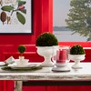 Plum & Post Boxwood Ball Faux (Fake) 8" - 4 of 4