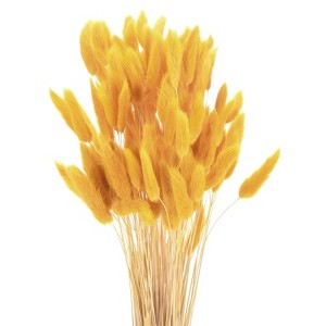 Unique Bargains Decorative Natural Dried Floral Bunny Tail Artificial Plants 120 Pcs - 1 of 4