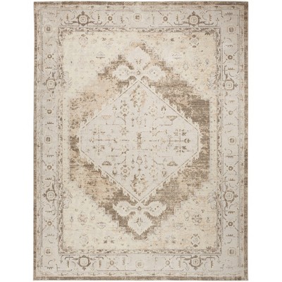 Nourison Washable Astra Vintage Persian Indoor Flatweave Area Rug