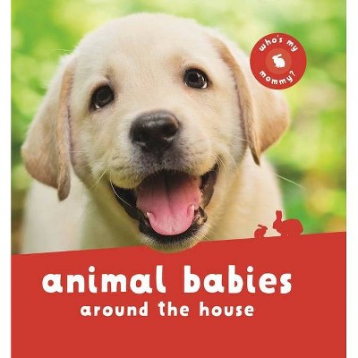 Animal Babies Around the House - by  Kingfisher Books (Board Book)