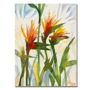 Trademark Fine Art -Sheila Golden 'Birds of Paradise' Canvas Art - 1 of 2