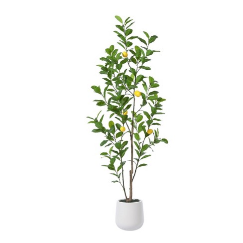 Kazeila Artificial Plastic Lemon Tree in Pot, Pre Potted Faux Lemon Tree With Realistic fruits Perfect for Home Decor Outdoor - image 1 of 4