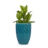 Kumasinova Ceramic Planters with Drainage Hole,Modern Indoor Outdoor Flower Pots for Patio,Garden,Windowsill,Balcony Decor - 2 of 4