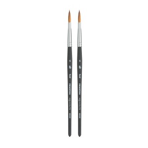 Princeton Aqua Elite Round Brush, Synthetic Bristles, Short Handle Watercolor Paintbrush, Matte Black, Size 6, Pack of 2 - 1 of 4