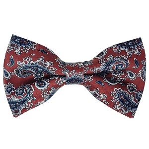 Men's Paisley Design 2.75 W And 4.75 L Inch Pre-Tied adjustable Bow Tie - 1 of 3