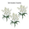 Collections Etc Artificial Tree Orchids - Set of 3 NO SIZE Ivory - 4 of 4