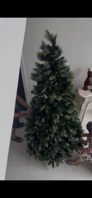 Guest review image 1 of 4, zoom in