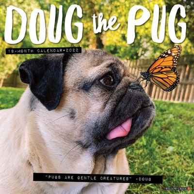 2022 Wall Calendar Doug the Pug - Willow Creek Press