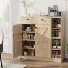 Shoe Cabinet with Barn Doors & Drawers, 42'' Tall Storage Cabinet with Adjustable Shelves - 4 of 4