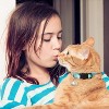 4 PCS Breakaway Cat Collars with Bell Moons Stars,Kitten Collar and Adjustable with Pendant Glow,Cute Kitty Collar for Girl Boy Cats - 4 of 4