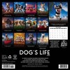 Willow Creek Press Dog's Life 2025 Wall Calendar: Monthly 12x12 Inch Paper, Sewn Binding, All Ages, Blue - 2 of 4