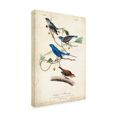 Trademark Fine Art -John James Audubon 'Indigo Bunting Birds' Canvas Art