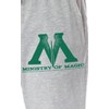 Harry Potter Pajama Pants Men's Ministry Of Magic Loungewear Sleep Pants Heather Grey - image 3 of 3