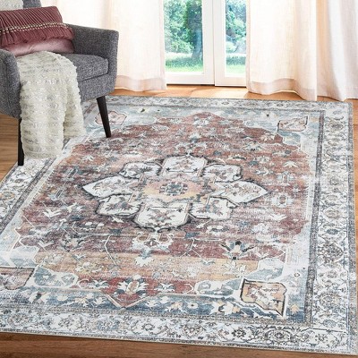 Area Rug Bohemian Accent Rug Stain Resistant Rug for Living Room Bedroom