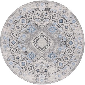 Odyssey ODY864 Power Loomed Indoor Rugs - Safavieh - 1 of 4
