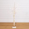 Nearly Natural 4-ft Pre-Lit Artificial Birch Tree with 50 Warm White LED Lights - 2 of 4