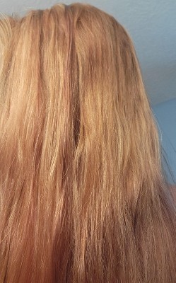 Guest review image 1 of 1, zoom in