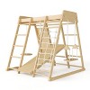 8-in-1 Wooden Jungle Gym Climber ¨C All-in-One Indoor/Outdoor Playset with Slide & Swing - 4 of 4