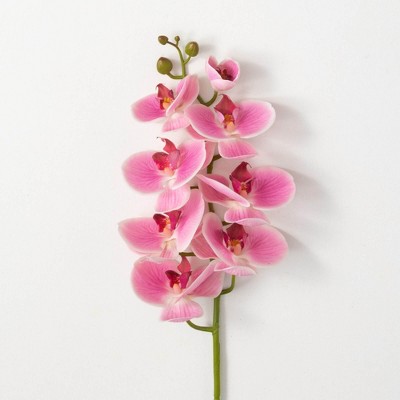 Sullivans 38.5" Phalaenopsis Stem, Pink