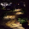 C Cattleya 16in 3W Low Voltage Black Aluminum LED Outdoor Landscape Path Lights - 4 of 4