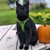 Voyager Step-In Air Dog Harness and 5' Leash Sets - 4 of 4