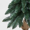 Unlit Downswept Alberta Spruce Mini Artificial Christmas Trees with Burlap Base - Wondershop™ - 3 of 3