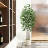 DR.Planzen Artificial Ficus Tree Adjustable Faux Tree with Real-Wood Branches & White Planter Indoor/Outdoor Perfect Home Decor for House Gift - 2 of 4