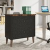 Tribesigns Wooden 2 Drawer Lateral File Cabinet - 2 of 4