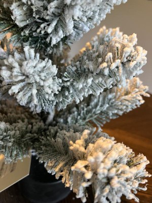 Tag 24-Pack Mini Frosted Trees at Von Maur