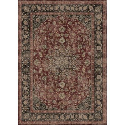 Area Rugs Living Room Machine Washable Soft Carpet for Bedroom Vintage Distressed Area Rug