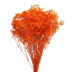 Unique Bargains Natural Dried Baby's Breath Flowers Branches for Wedding Party Decoration Orange 1 Pc - 1 of 4