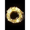 Perfect Holiday 60 LED Silver Copper Fairy String Light with Timer in Warm White - 2 of 3