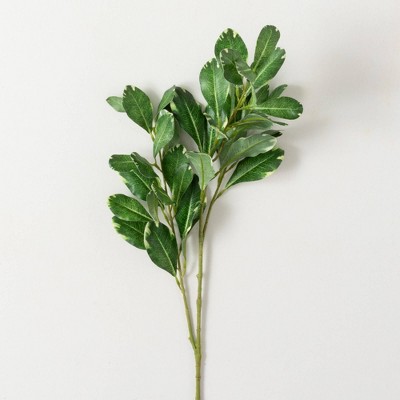 Sullivans Artificial 30" Green Pittosporum Spray